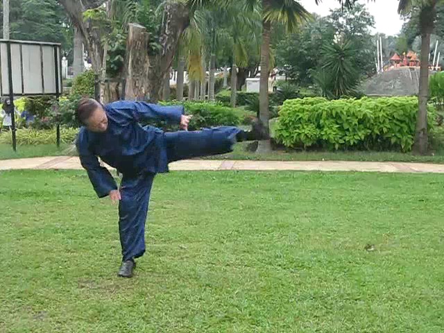 Shaolin 36 Leg Techniques